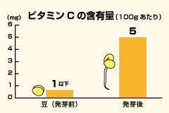 出典 五訂増補 日本食品標準成分表