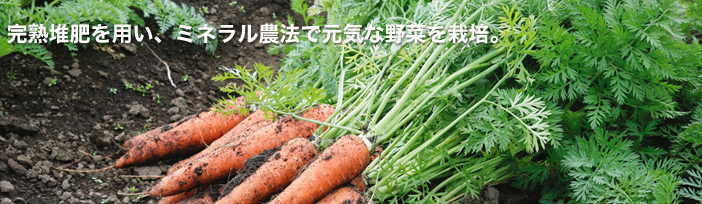 完熟堆肥を用い、ミネラル農法で元気な野菜を栽培。