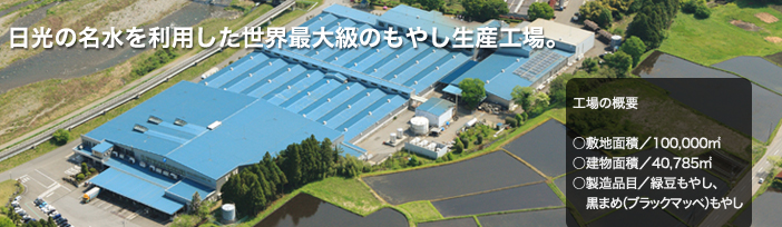 日光の名水を利用した世界最大級のもやし生産工場。