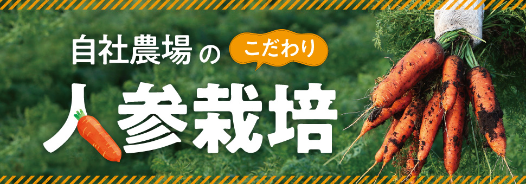 富士食品のこだわり人参栽培