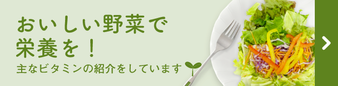おいしい野菜で栄養を！主なビタミンの紹介をしています